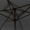 vidaXL Sonnenschirm mit Metall-Mast 300x200 cm Anthrazit 44501 Bild 5