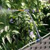 vidaXL Garten-Pflanzgefäß 2 pcs Braun 80 x 40 x 37,5 cm Kunststoff 42002822 Bild 5