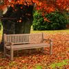Teakbank Jackson V2 200 cm teak Bild 3