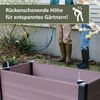 Hochbeet Siena mit integrierter Bewässerung, Kräuterbeet aus WPC Bild 3