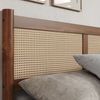 IDIMEX Massivholzbett CEFIRA, Doppelbett 140x190 cm mit Rattangeflecht Eiche Finish Bild 3