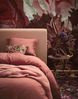Essenza Minte Dusty Rose Bettwäsche 240x220 cm + 2x 80x80 cm Bild 3