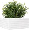 vidaXL Pflanzkübel Weiß 50x50x23 cm Massivholz Kiefer 847184 Bild 4