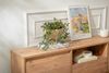 Dmora Fernsehschrank Morrigan, Ständer für Wohnzimmerfernseher, Niedriges Wohnzimmer-Sideboard, TV-Ständerbasis, 160x30 h42 cm, Kiefer Bild 5