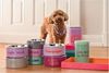 Giftcompany - Futternapf Hund "Love Pets" Champagne D 20cm Rosa Gr. M 1158904012 Bild 2