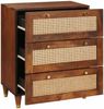 vidaXL Sideboard Braun 60 x 33 x 75 cm Massivholz Mango 4018883 Bild 2