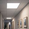 Smart LED Panel, 4800 Lumen, Sprach/Appsteuerung, CCT, L 59,5 cm Bild 3