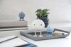 Hoptimist Bumble S Hellblau Bild 3