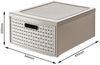 Rotho Schubladenbox Country groß, 19,2 L cappuccino Bild 4