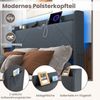 Doppelbettgestell inkl. LED-Leuchten gepolstertes Plattformbett mit Ladestation Grau 200 x 160 cm Bild 5