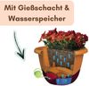 GarPet Blumentopf 2er Set Hängetopf für Pflanzen Blumenampel Outdoor Wasserspeicher 30cm Bild 4