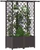 vidaXL Hochbeet mit Rankgitter und Dach Braun 124 x 40 x 136 cm PP 42032524 Bild 3