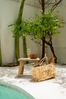 Die Teak Root Salatschüssel - S - Natürlich - 15x15x8cm Bild 5