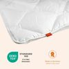 sleepling Baumwollbettdecke Komfort 300, Bezug: 100 % Baumwolle, in 135x200 cm, 155x220 cm und Weitere, Allergiker geeignet, Made in EU Bild 2