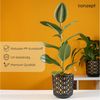 KONZEPT Blumentopf Übertopf Set für Zimmerpflanzen 19/25 cm (1 St), ideal für Wohnzimmer, Küche und Balkon Bild 4