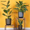 KONZEPT Blumentopf Übertopf Set für Zimmerpflanzen 19/25 cm (1 St), ideal für Wohnzimmer, Küche und Balkon Bild 2