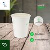 BENBOW Einwegbecher Einwegbecher aus Zuckerrohr, Weiß, 50-tlg, Zuckerrohr, Einwegbecher aus Zuckerrohr, Weiß, 300 ml x 50 Bild 2