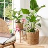 Scheurich Blumentopf Ø 28 cm Seegras natur mit zwei Griffen Bild 2