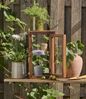 Ib Laursen - Glasvitrine Schrank Glasschrank 28x50cm UNIKA Holz Glas 21041-30 Bild 4