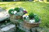 Pflanzrad 2er Set Pflanzschale Pflanzkorb Blumentopf Pflanztopf Übertopf Bild 2