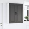 vidaXL Geschirrspülerfront Kalmar Schwarz 80 x 31 x 100 cm 884795 Bild 4