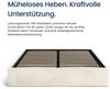 Home Collective Polsterbett Bett Doppelbett Bettgestell mit Lattenrost & Stauraum, platzsparend ohne Kopfteil, weiche Samtpolsterung, 140x200 cm beige Bild 4