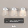 skølm 'Aeriala' LED-Tischlampe kabellos, mit USB-C aufladbar, inkl. 3 Helligkeitsstufen, weiß, warmweißes Licht (Energieklasse G) Bild 4
