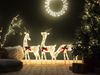 Outdoor Weihnachtsbeleuchtung LED weiß Rentiere 92 cm ANGELI Bild 3