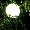 s.luce Globe Hänge-Kugellampe für Innen & Außen IP54 Weiß Ø 50cm Bild 3
