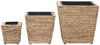 vidaXL Blumenkübel 3 Stk. Wasserhyazinthe 45571 Bild 3
