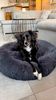 StepOne Hundebett rund, Polyester grau, Ø100 cm, mit herausnehmbarer Füllung Bild 2