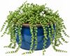 Blumentopf Keramik Modell "Bavaria" 24cm Royal Blau Bild 4