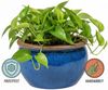 Blumentopf Keramik Modell "Bavaria" 24cm Royal Blau Bild 3