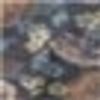 Primera Edelflanell Bettwäsche 135x200 Blumen Rosen dunkelblau rost 174141-37 Bild 3