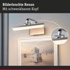 Paulmann 95571 LED Bilderleuchte Renan 3000K 300x210 mm 6W Alu gebürstet Bild 2