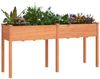 vidaXL Pflanzkübel mit Einsatz Braun 161x45x76 cm Massivholz Tanne 364237 Bild 3
