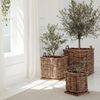 Dickes CL Rattan Korb CESTINO natural ca. 65cm Teakbodenplatte Pflanzkorb Griffe Bild 3