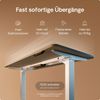 Desktronic HomePro Elektrisch höhenverstellbarer Schreibtisch 180x80cm Weiß/Grau mit Memory-Funktion, Anti-Kollisions Technologie, USB-A und USB-C-Ladeanschlüssen Bild 3