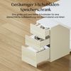 FLEXISPOT Schreibtisch Elektrischer Höhenverstellbarer Schreibtisch mit Bein-Schrank Set (2 Motoren,höhenverstellbar 70–119 cm,4 Speicherhöhen, 25 mm Tischplatte, mit Stauraum & Kabelmanagement), leise Bild 4