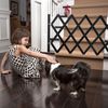 Relaxdays Ausziehbares Hundeabsperrgitter Schwarz Bild 4