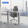 FLEXISPOT Schreibtisch Elektrisch Höhenverstellbarer Schreibtisch EC5 LITE mit Dualmotor (25MM einteiliger Tischplatte & 3-fach Teleskop, 4 Speicherhöhen & Antikollisionssystem), 120x80/140x80/160x80/180x80 Bild 2