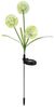 GLOBO LIGHTING LED Solarleuchte, LED-Leuchtmittel fest verbaut, Neutralweiß, Außenleuchte Solarlampe Gartendeko LED Pusteblume Edelstahl Lila Bild 2