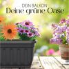 Hausfelder Blumenkasten Balkonkasten mit Wasserstandsanzeiger, Pflanzkasten 4er Set, 60cm (4er Set, 4 St, Jedes Set enthält: Füllstandsanzeiger, Boden, Pflanzkasten), Blumenkästen UV- und witterungsbeständig für innen und außen, matt Bild 3