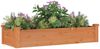 vidaXL Hochbeet mit Einsatz Braun 120x45x25 cm Massivholz Tanne 364287 Bild 3