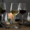 SCHOTT ZWIESEL Sektglas Classico Bild 3