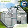 BRAST Gewächshaus Aluminium mit Fundament rostfrei 6mm Platten 490x250x205cm Grün - TÜV geprüft Bild 2