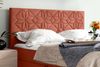 99rooms Montana Boxspringbett 200x200 cm Velours MONOLITH Korallenrot Bild 2