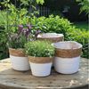 Grafelstein Blumentopf Pflanzkorb BREEZY weiß mit braunem Rand D18cm Pfla Bild 2