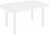 Tampa+Faro SET 4 x Klappsessel, 1 x Faro Tisch 140 x 90 cm Bild 3