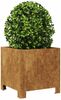 vidaXL Pflanzkübel 2 Stk. 30x30x30 cm Wetterfester Stahl 851198 Bild 4